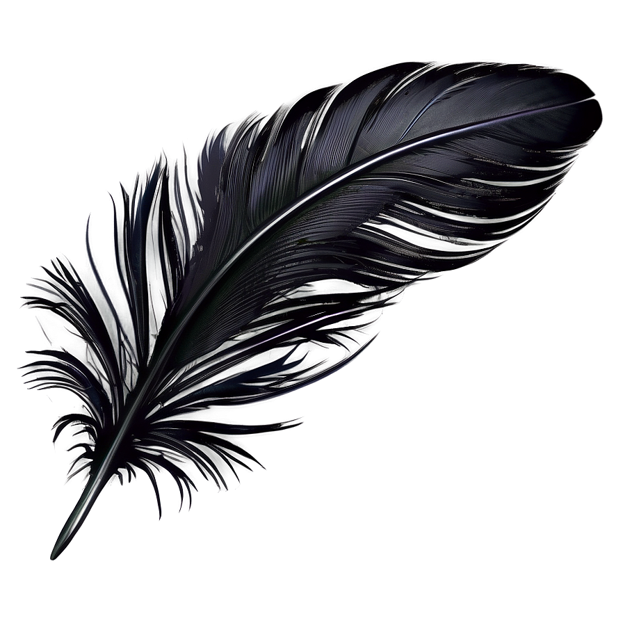 black-feather-texture-png-56-co0v7m0zjik0cynm